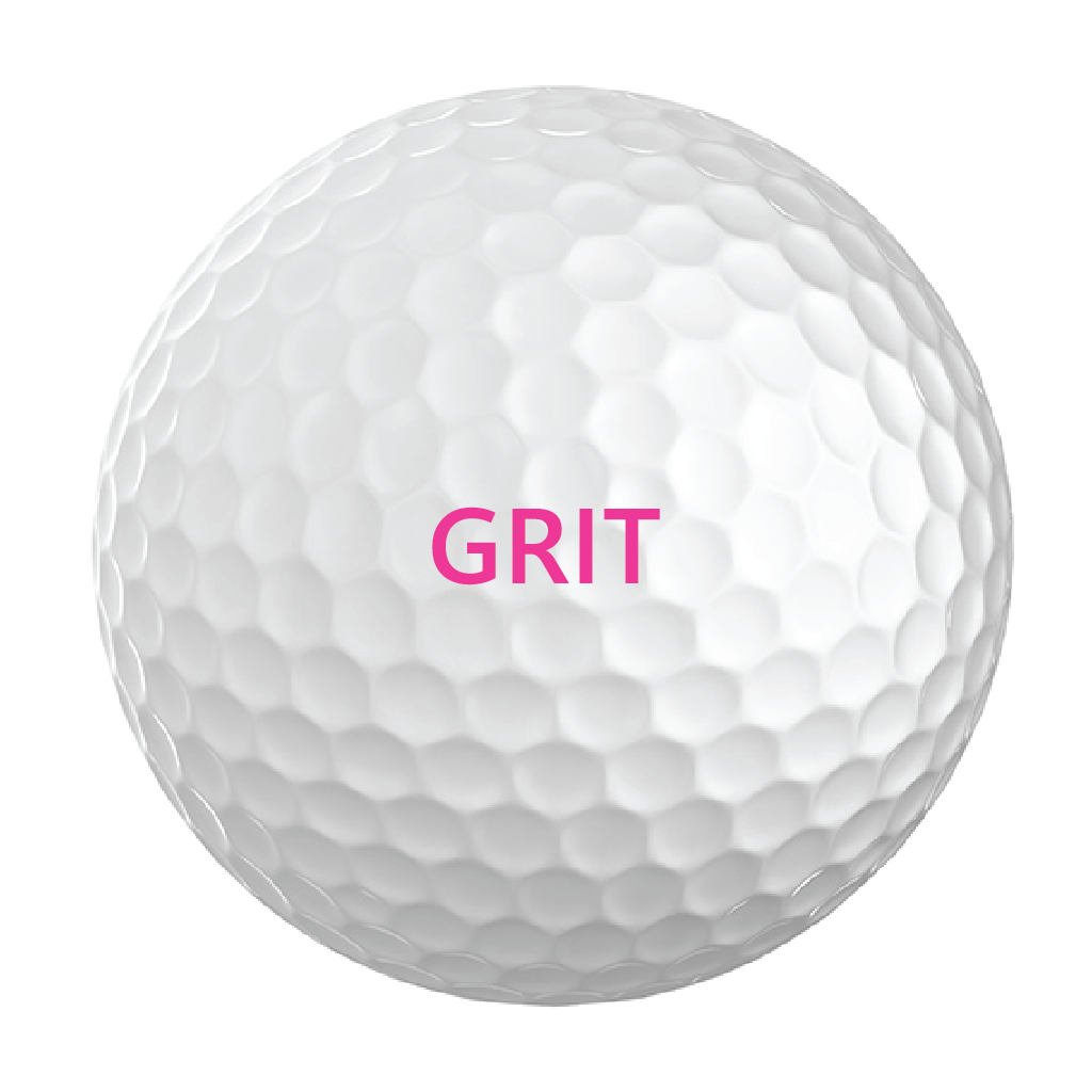 GRIT Titleist ProV1 Golf Ball (Sleeve of 3)